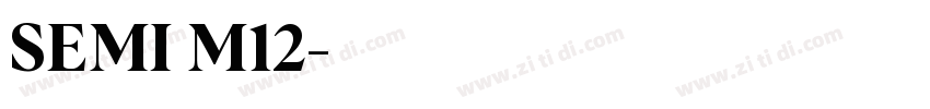 SEMI M12字体转换